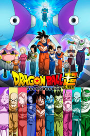 Dragon Ball Super Episodes [Hindi Subbed] 480p Download HD [96MB]