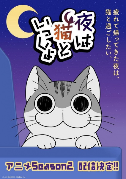 Nights with a Cat poster